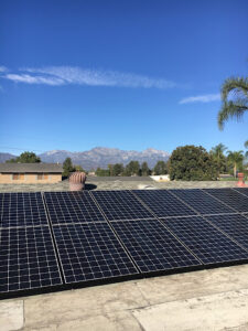 Sea Bright Solar